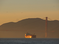SF2015