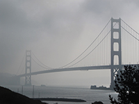 SF2017